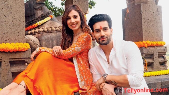 Ideal Son-In-Law Zee World Full Story, Plot Summary, Casts & Teasers